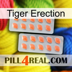 Tiger Erection 27